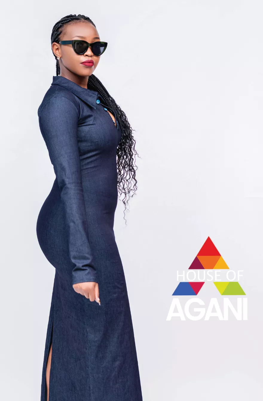 House of Agani image cover